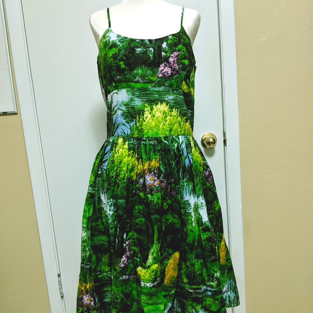 Pinup Landscape dress with pockets Elegant glam